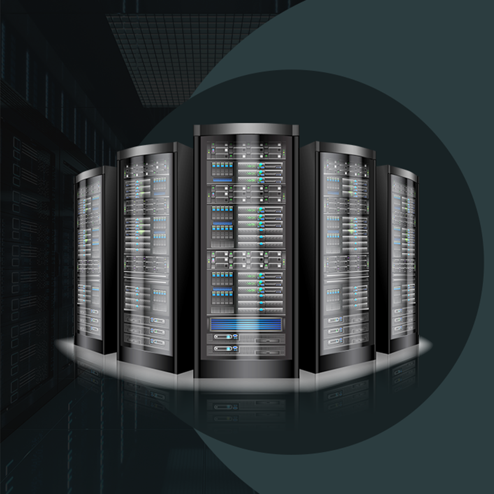  Web Hosting